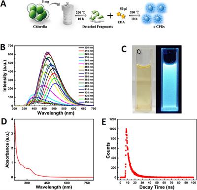 Nanobioprospecting of photoautotrophs for the fabrication of quantum dots: mechanism and applications